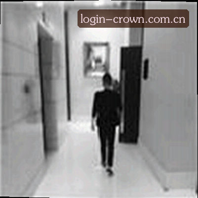 吴婷